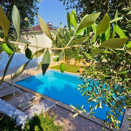 Thassian Villas Limenas  Exteriér fotografie
